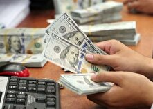 چالش تغییر مرجعیت بازار ارز