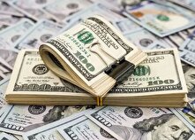 پیشنهاد یک نماینده به بانک مرکزی برای کاهش قیمت دلار