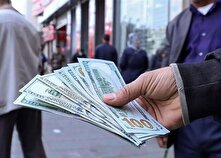 ۴۵ میلیون یورو حجم معاملات روزانه بازار ارز تجاری/ ورود ۶۰۰ میلیون دلار ارز پتروشیمی