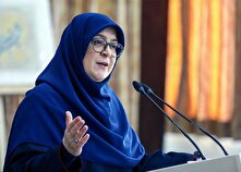 مهاجرانی: اقدام دولت درباره ارز تک‌نرخی باید انجام می‌شد