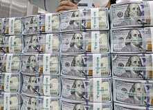 سیاست جدید ارزی و پایان بهانه‌ها برای عدم بازگشت دلارصادراتی