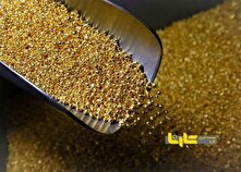 آغاز ریزشی قیمت‌ها در هفته جدید؛ بازگشت نرخ طلا و سکه محتمل است؟