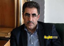 علیزاده: آیین نامه واردات خودرو اشکال دارد و عملیاتی نیست منبع سایت کارنا