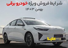 آغاز فروش نقدی و اقساطی خودرو برقی کرمان موتور با امتیاز‌های ویژه منبع سایت کارنا