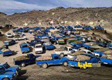 وفور بنزین قاچاق در شهر‌های مرزی منبع سایت کارنا