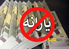 خودروی شخصی باعث حذف یارانه می‌شود؟