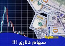 سهام دلاری، در تیررس سهامداران