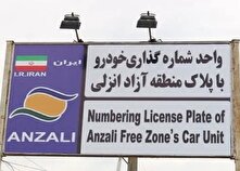 تأخیر در شماره‌گذاری خودرو‌های وارداتی صدای فعالان بازار را درآورد! منبع سایت کارنا