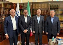 مجلس در فرآیند واگذاری سهام ایران خودرو جدیت به خرج دهد
