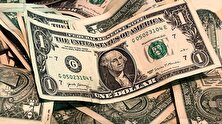 افشاگری غیرمنتظره درباره قیمت دلار روی آنتن زنده + فیلم