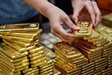 طلای جهانی ماراتن رشد را آغاز کرد