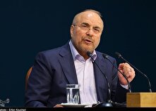 توضیحات رئیس مجلس درباره مصوبه واردات خودرو و نحوه قیمت‌گذاری بنزین منبع سایت کارنا