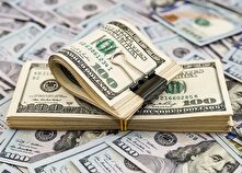 نرخ حقیقی دلار از نظر بانک مرکزی