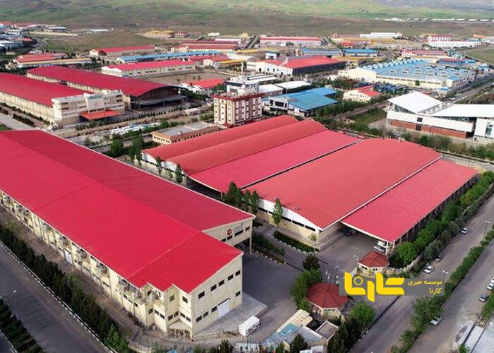 واردات بی‌رویه و قیمت‌گذاری دستوری؛ سدی در برابر شعار سال
