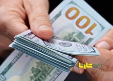 پیش‌بینی یک اقتصاددان از نرخ دلار در سال جاری