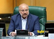 قالیباف: ارز واردات خودرو مجددا به 3 میلیارد دلار افزایش پیدا کرد منبع سایت کارنا