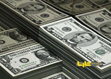 مدیر ارشد بانک مرکزی قیمت آینده دلار را لو داد!