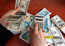 حجم دلار خانگی چقدر است؟