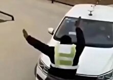 پارکبان مورد علاقه همه! + فیلم