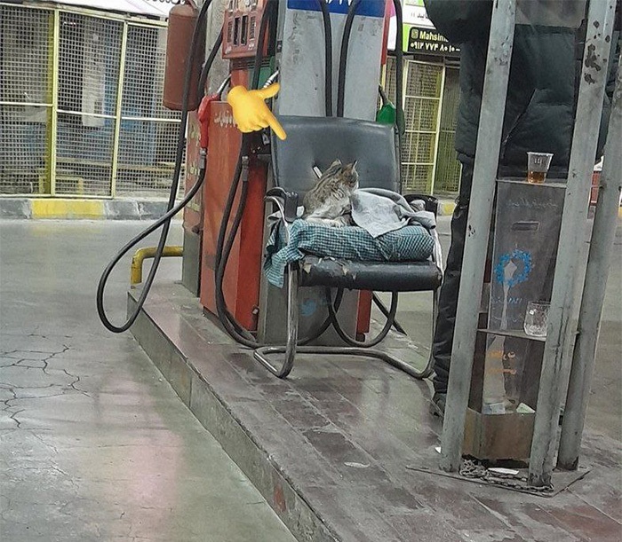 صحنه دوست‌داشتنی که یک متصدی پمپ‌بنزین خلق کرد