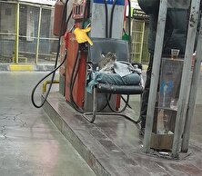 عکس جذاب از رفتار دوست‌داشتنی یک متصدی پمپ‌بنزین