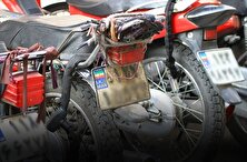 نوسازی موتورسیکلت‌های فرسوده بدون تسهیلات بلاعوض ممکن نیست