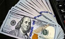 قیمت انواع دلار از صرافی ملی تا بازار آزاد