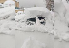 فیلم مدفون شدن خودرو‌ها زیر برف یک متری اشنویه!