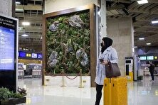 شوک قیمتی به بلیط هواپیما