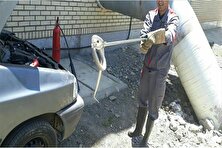 بیرون کشیدن شاه کبرای چهاری متری از خودرو!