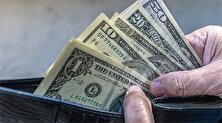 قیمت جدید دلار در بازار تهران، هرات و سلیمانیه