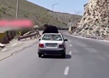 حرکت عجیب یک زنِ پرایدسوار به سبک هالیوود! +‌فیلم منبع سایت کارنا