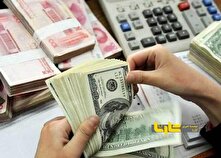 قیمت دلار حواله کاهش یافت