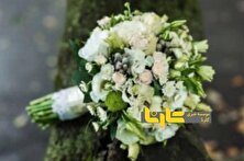 عکس کمتر دیده شده از اولین ماشین عروس جهان