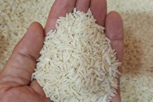 برنج را با این قیمت از بازار بخرید