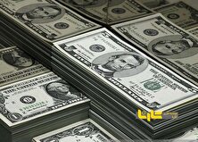 ریزش قیمت دلار متوقف شد