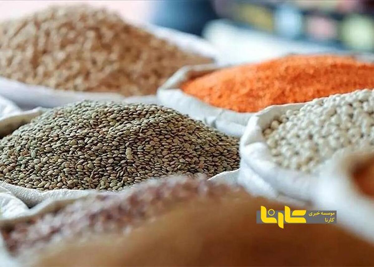 صادرات حبوبات ممنوع شد + نامه