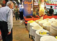 دلیل گرانی قیمت برنج مشخص شد