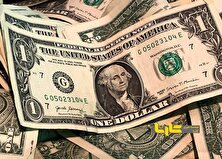 دلار در تله سیاست افتاد!