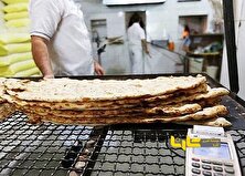 افزایش پلکانی قیمت نان تکذیب شد