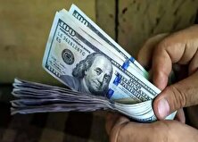 کالاهای مشمول ارز ترجیحی کدامند؟