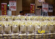 برنج خط قرمز کره جنوبی شد