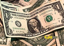 موج سواری دلار روی قیمت + عکس