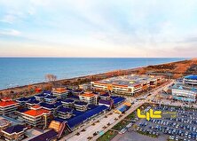 ثبت آماری از واردات خودرو در منطقه آزاد اروند حذف شد