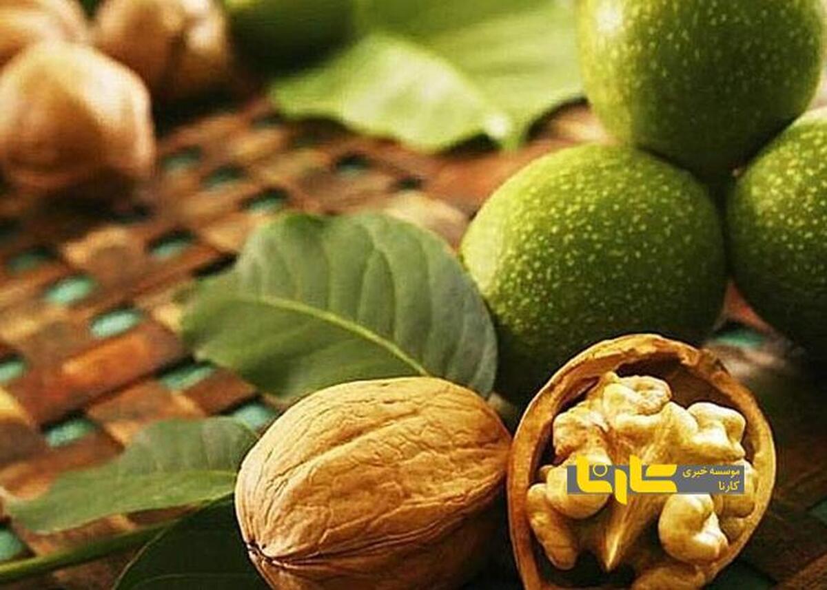 خرید و فروش گردو ممنوع شد