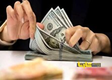 طنز تلخ از رسمی شدن بازار سیاه ارز!