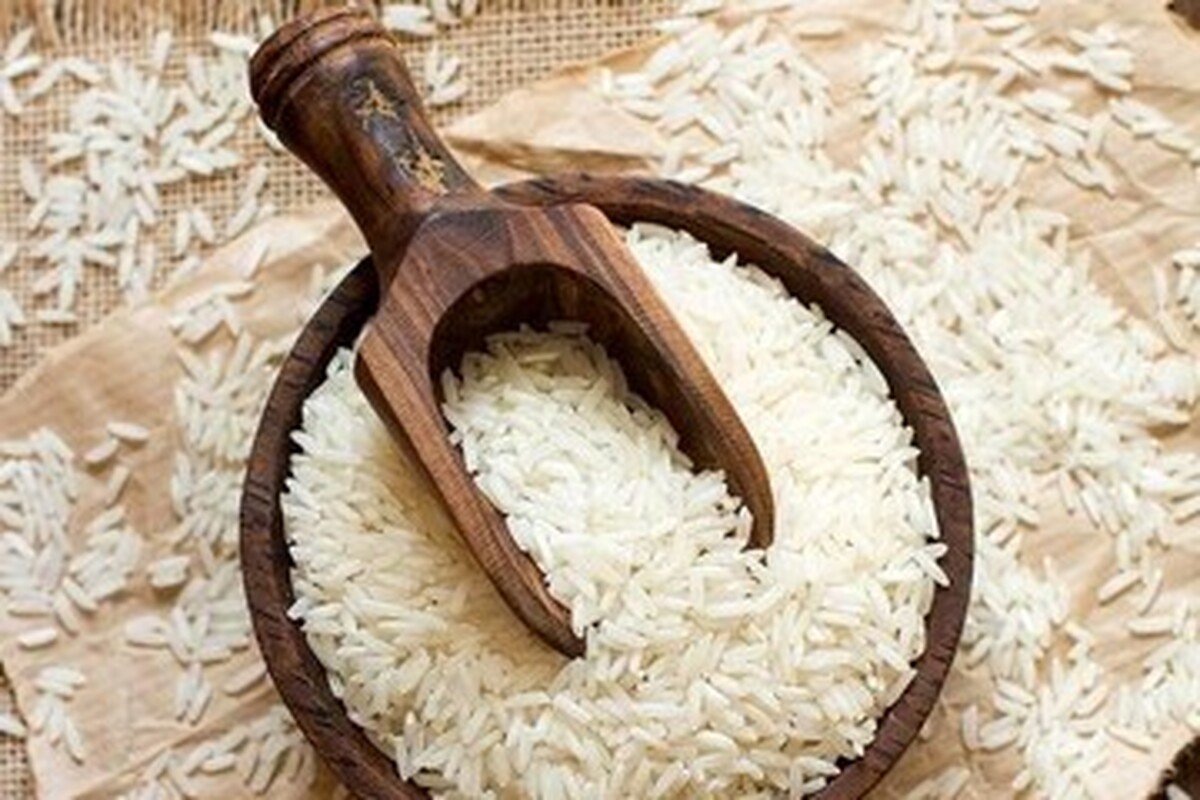 قیمت برنج ایرانی به شدت ریخت
