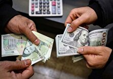 احتمال تک نرخی شدن ارز وجود دارد؟