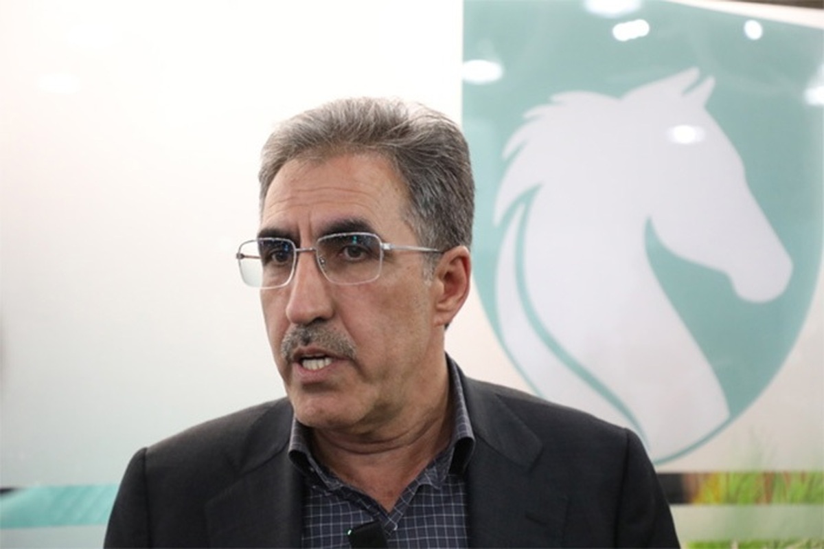 ایران‌خودرو نمونه موفق واگذاری واقعی به بخش خصوصی است