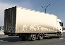 نقاشی‌های شگفت انگیز روی بوم‌های متحرک! + عکس منبع سایت کارنا